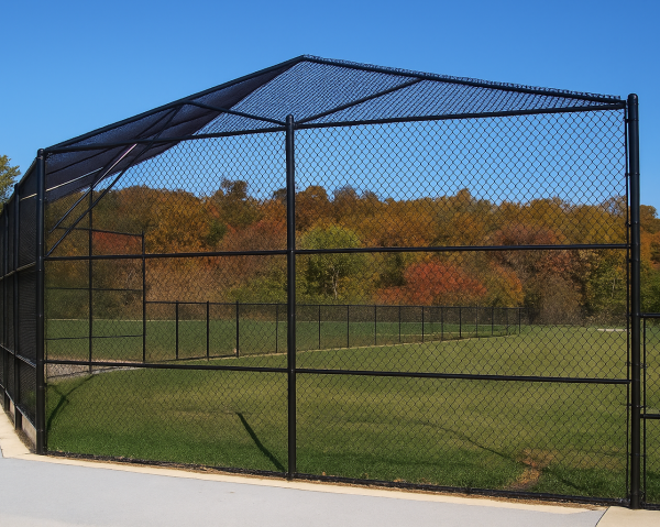 Baseball Backstop