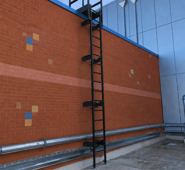 Roof Ladder