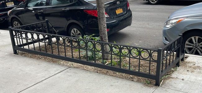 Tree Pit Guard Type B (3)